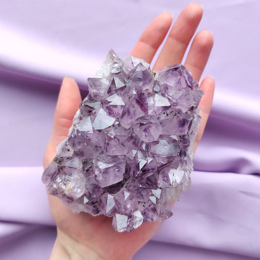 keskikokoinen ametistiryväs kädessä violetilla taustalla