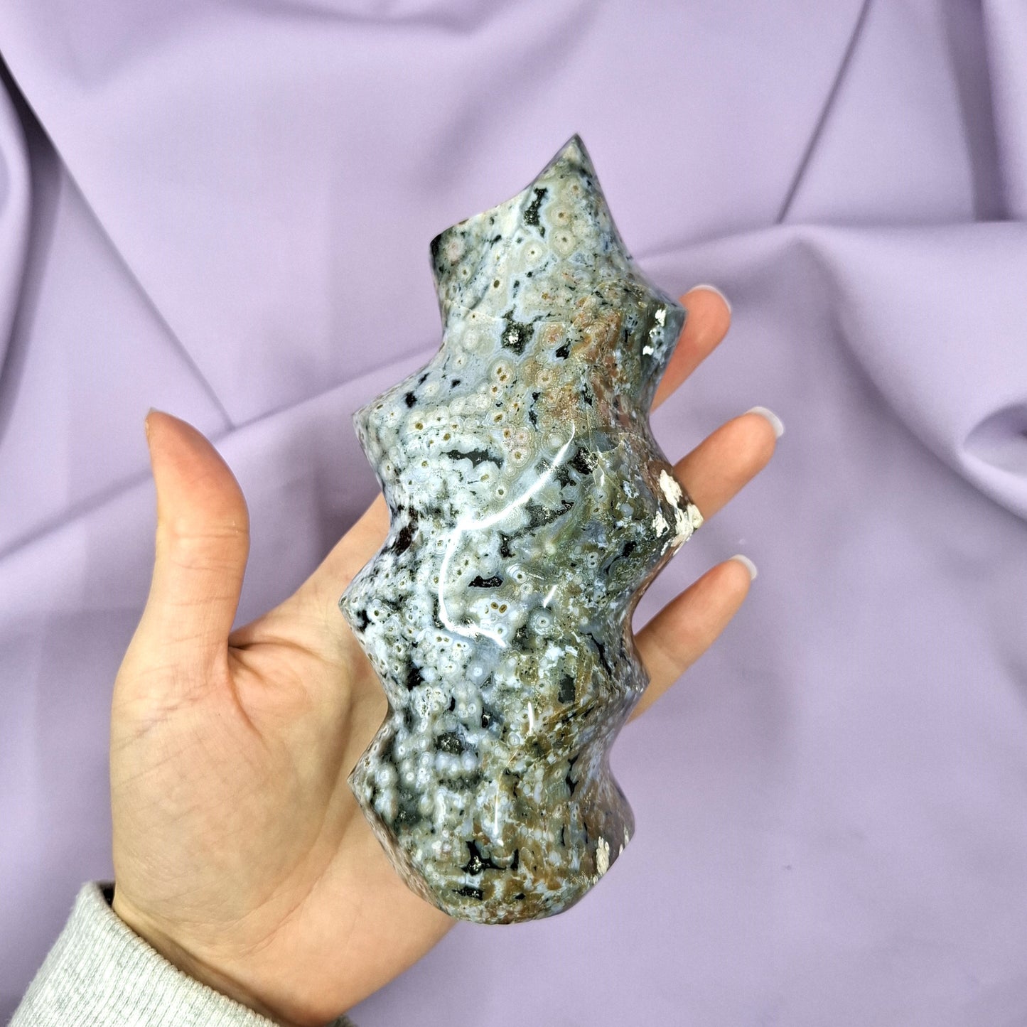 Valtamerijaspisliekki