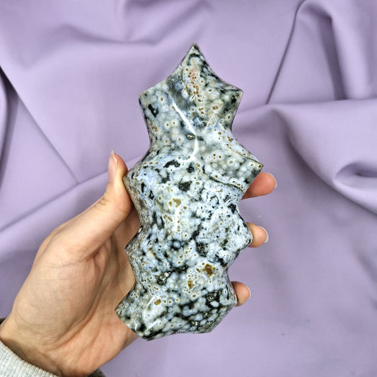 Valtamerijaspisliekki