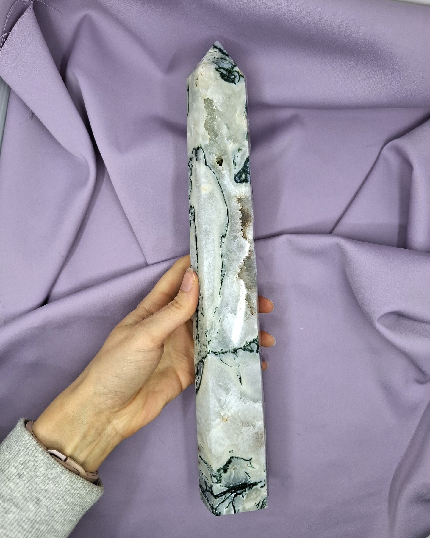 Sammalakaattitorni 1,16kg