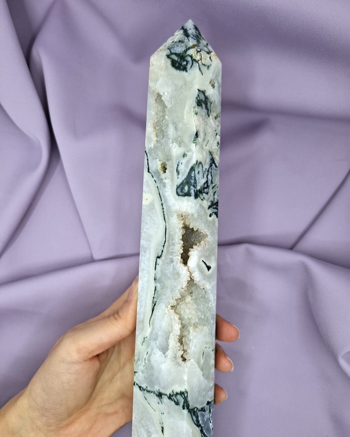 Sammalakaattitorni 1,16kg