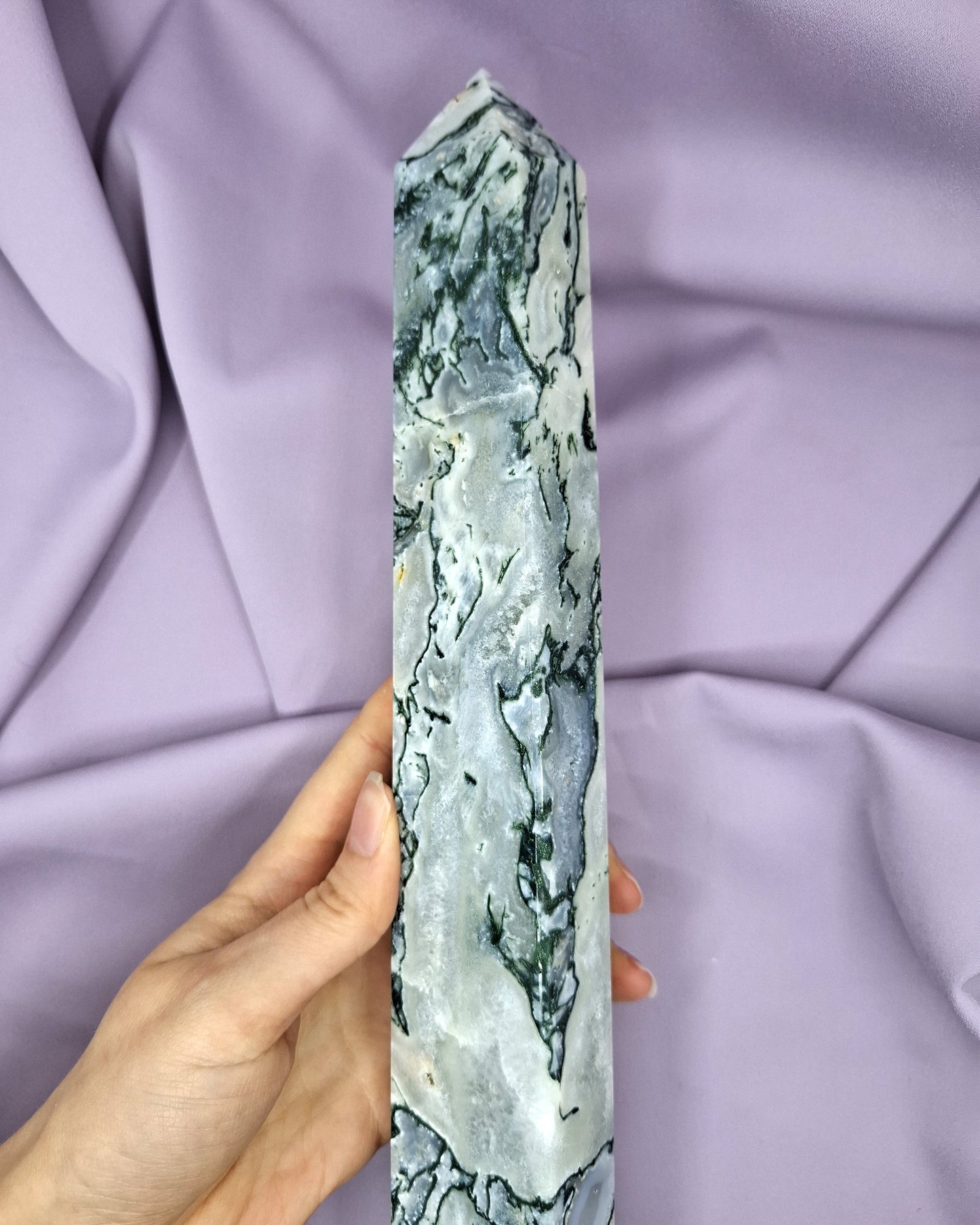 Sammalakaattitorni 1,16kg