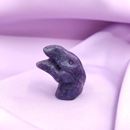 Lepidoliittidinosaurus