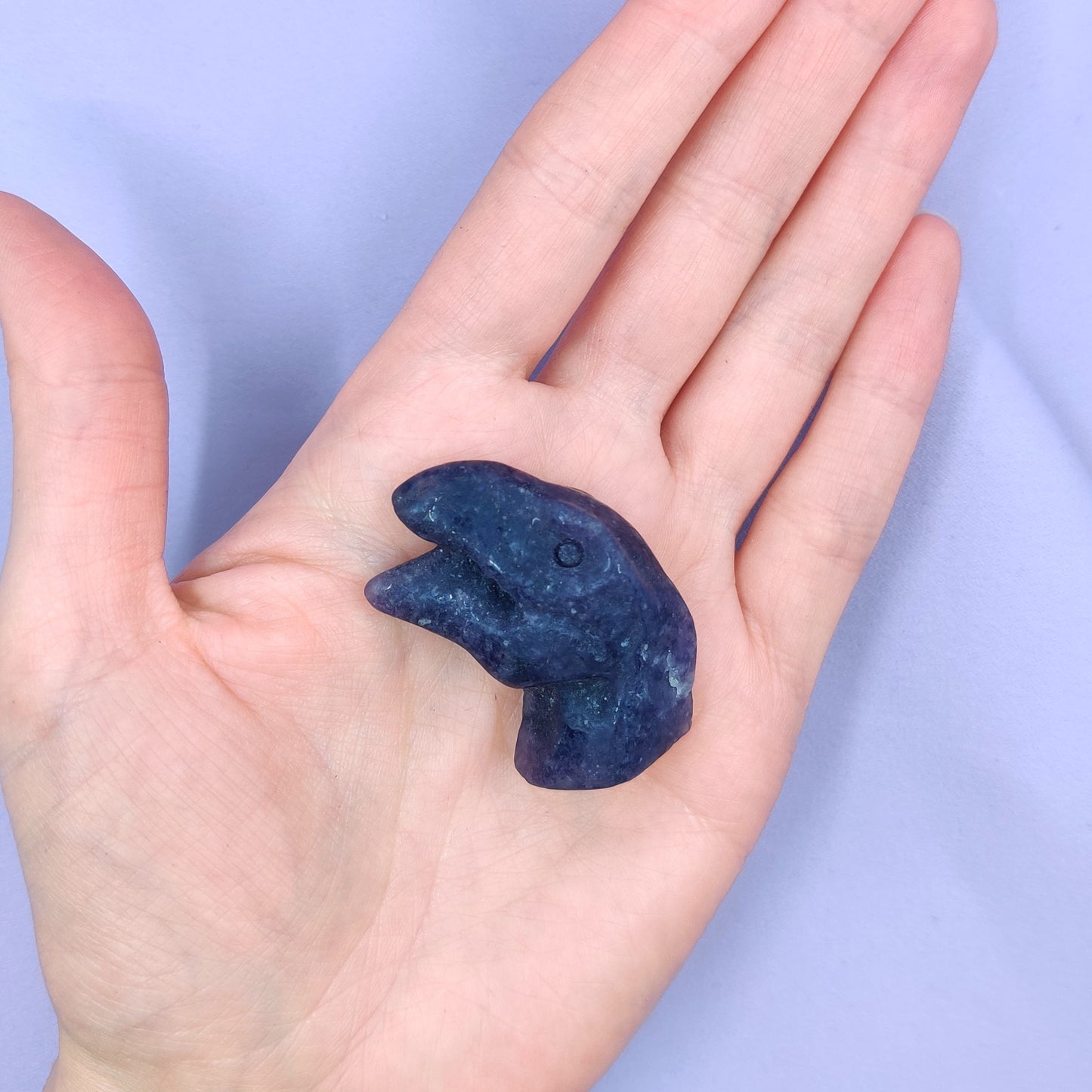 Lepidoliittidinosaurus