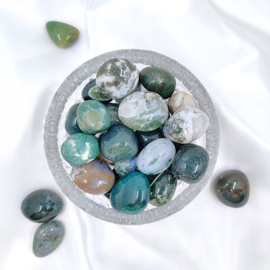 Sammalakaatti - kasvua, rauhaa ja yhteyttä luontoon