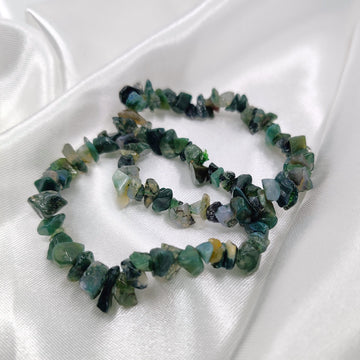 Sammalakaatti hippurannekoru