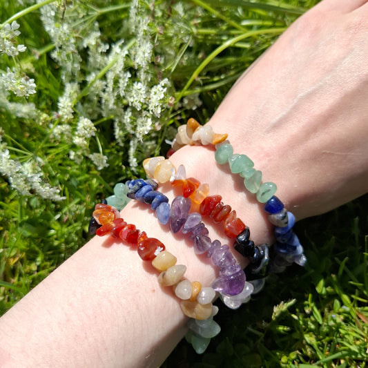 Chakra hippurannekoru