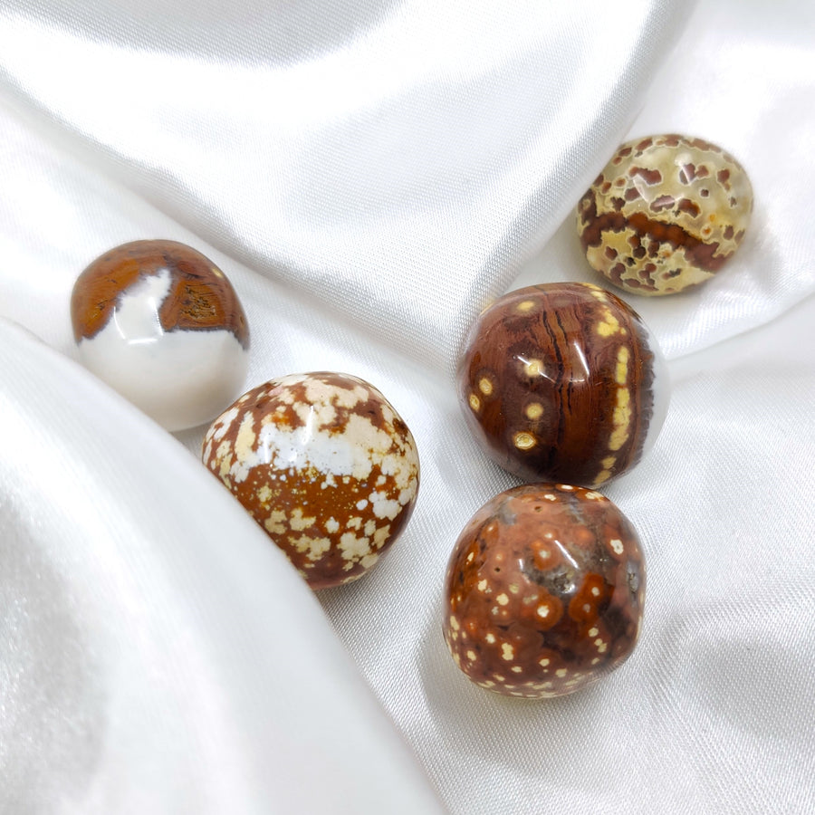 Valtamerijaspis - iloa, tasapainoa ja vapautta olla oma itsesi